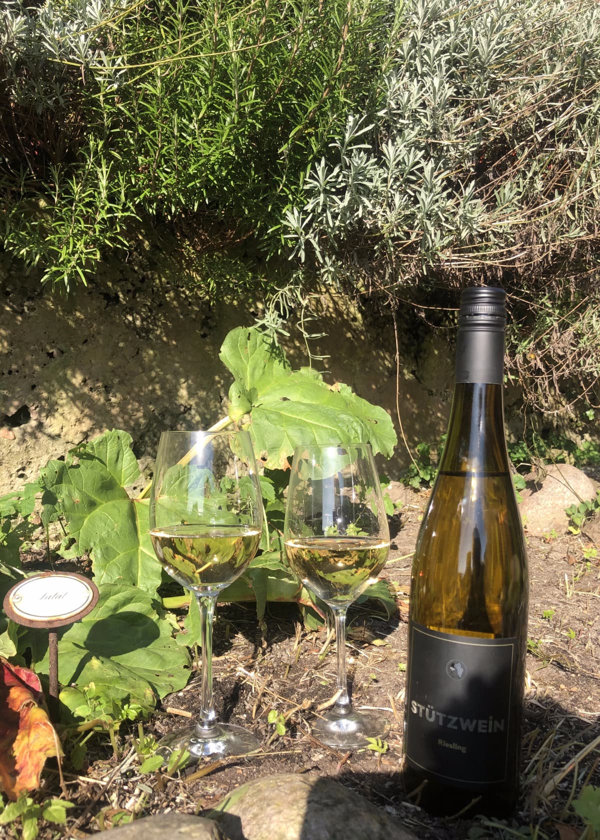 Garten · Frühling · Stützbier-Idee