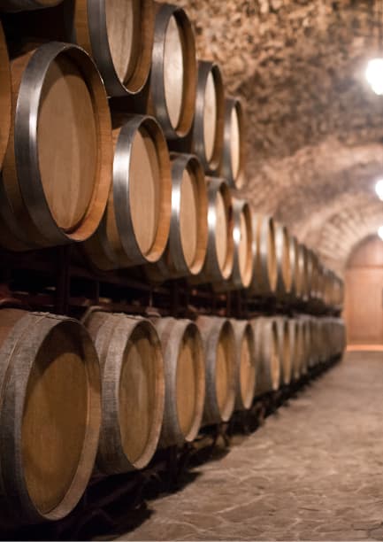 Unsere Weinberge und Tradition