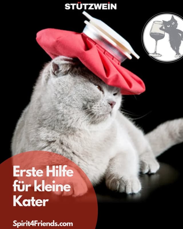 Katze mit Erste-Hilfe-Kasten