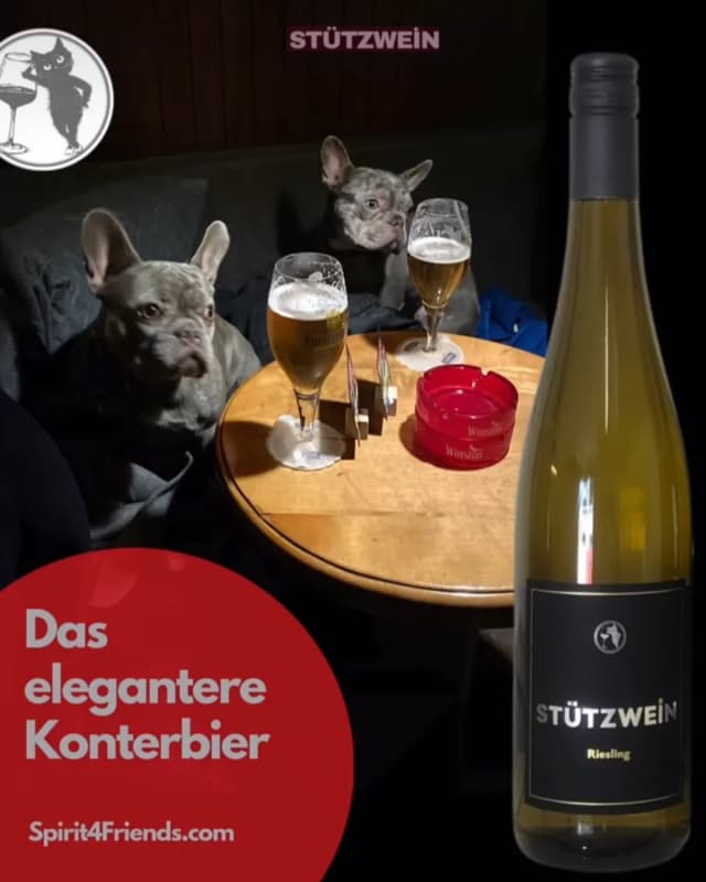 Französische Bulldoggen
